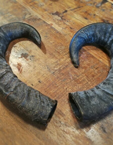 PROMO PACK 2 x Corne de Buffle Taille L NOUVEAU