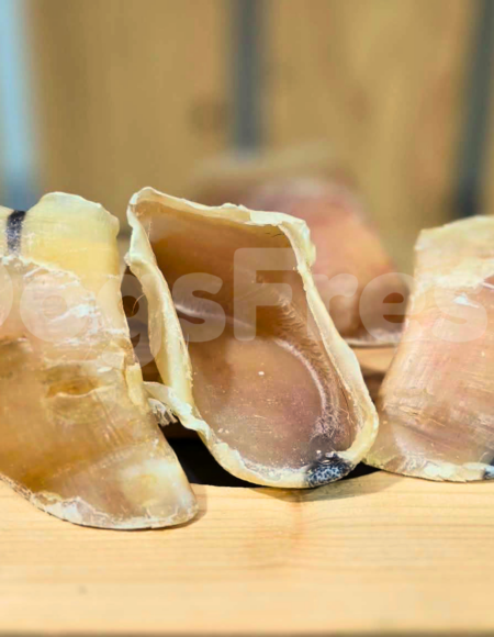SAC 100 Sabots de Veau