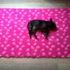 Vetbed PINK NEW