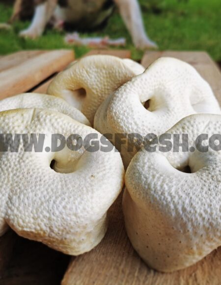 10 Groins de Porc XL Soufflés NOUVEAU