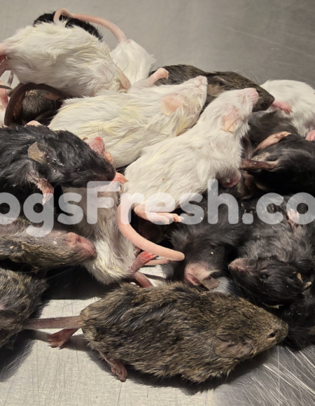 SACHET SOURIS NON TRIES 1 kg NOUVEAU !