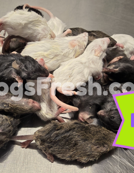 SACHET SOURIS NON TRIES 1 kg PROMO