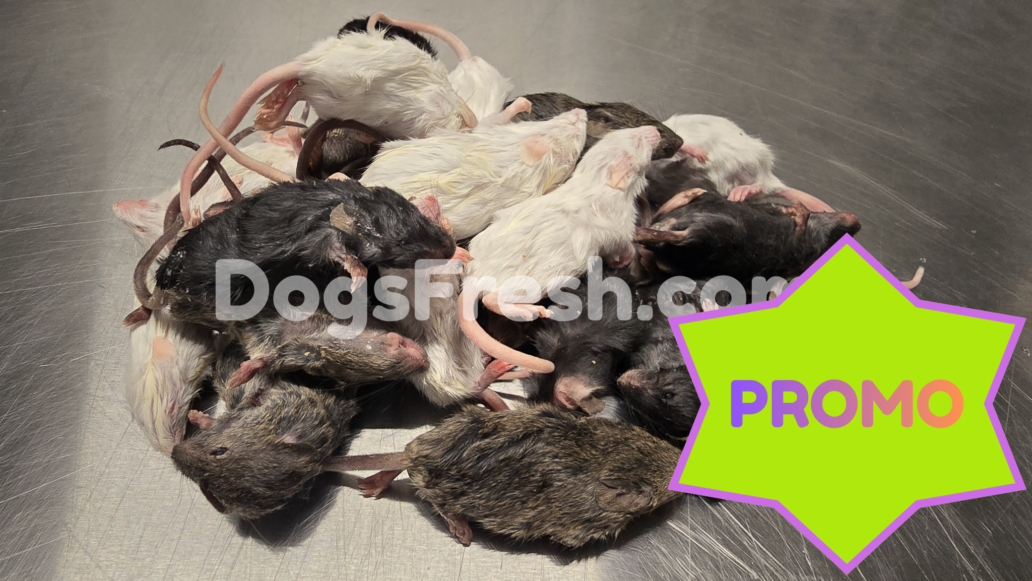 SACHET SOURIS NON TRIES 1 kg PROMO