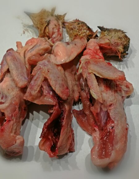 CARTON CARCASSES DE CAILLES 10 kg NOUVEAU !