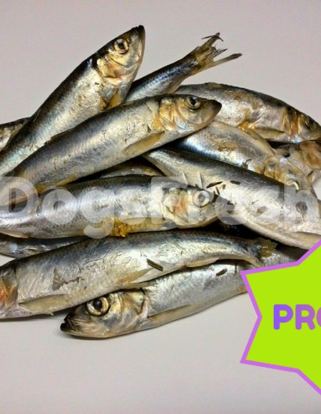 CARTON Hareng 10 kg PROMO