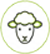 Agneau