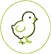 Poussins