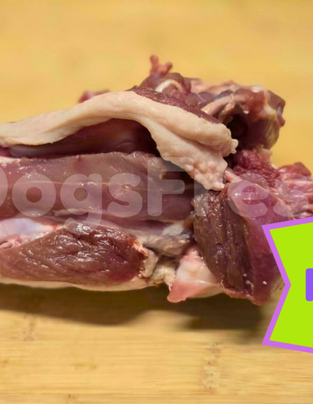 CARTON Carcasses de Canard 10 kg PROMO