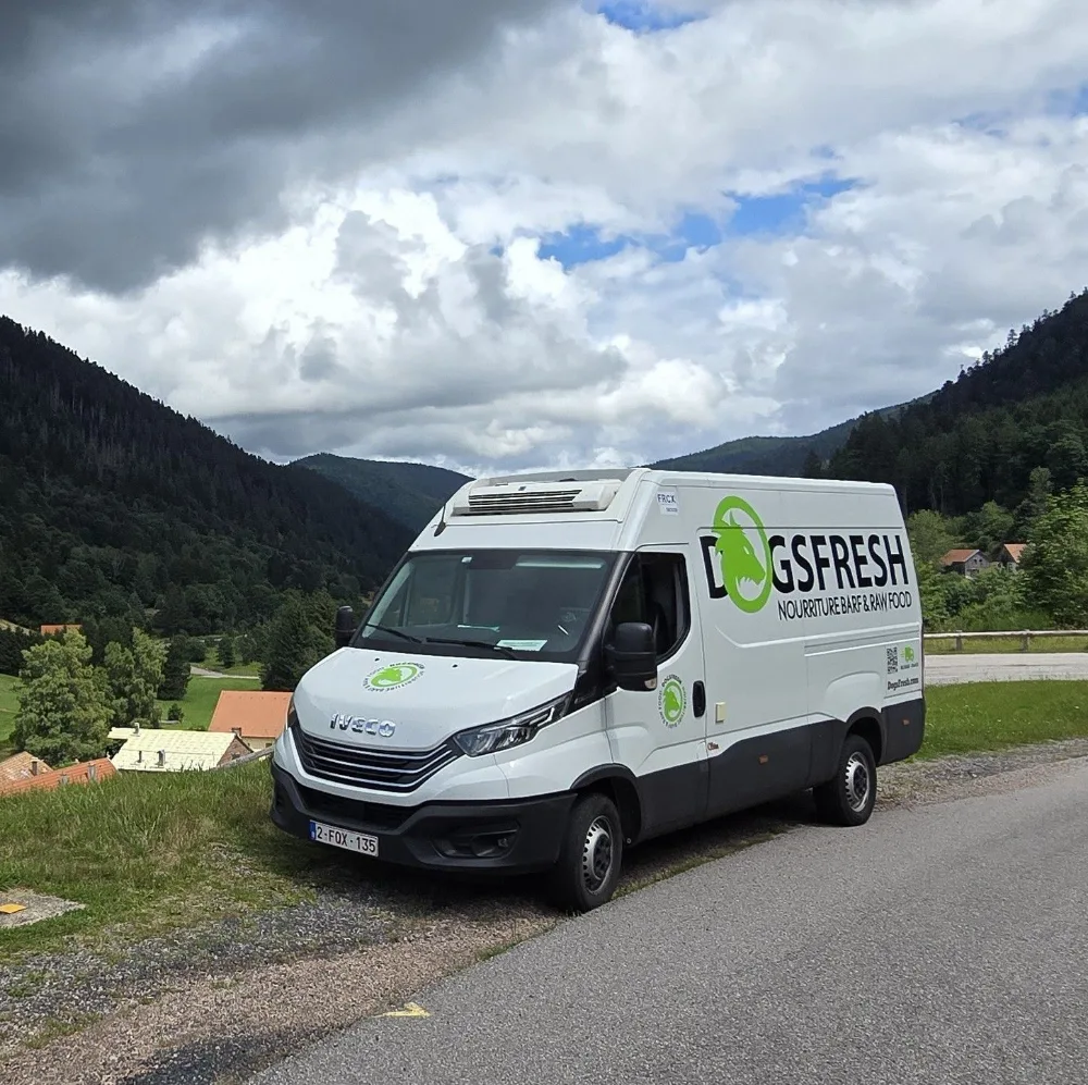 Camionnette DogsFresh (WebP) La camionnette réfrigérée DogsFresh en livraison