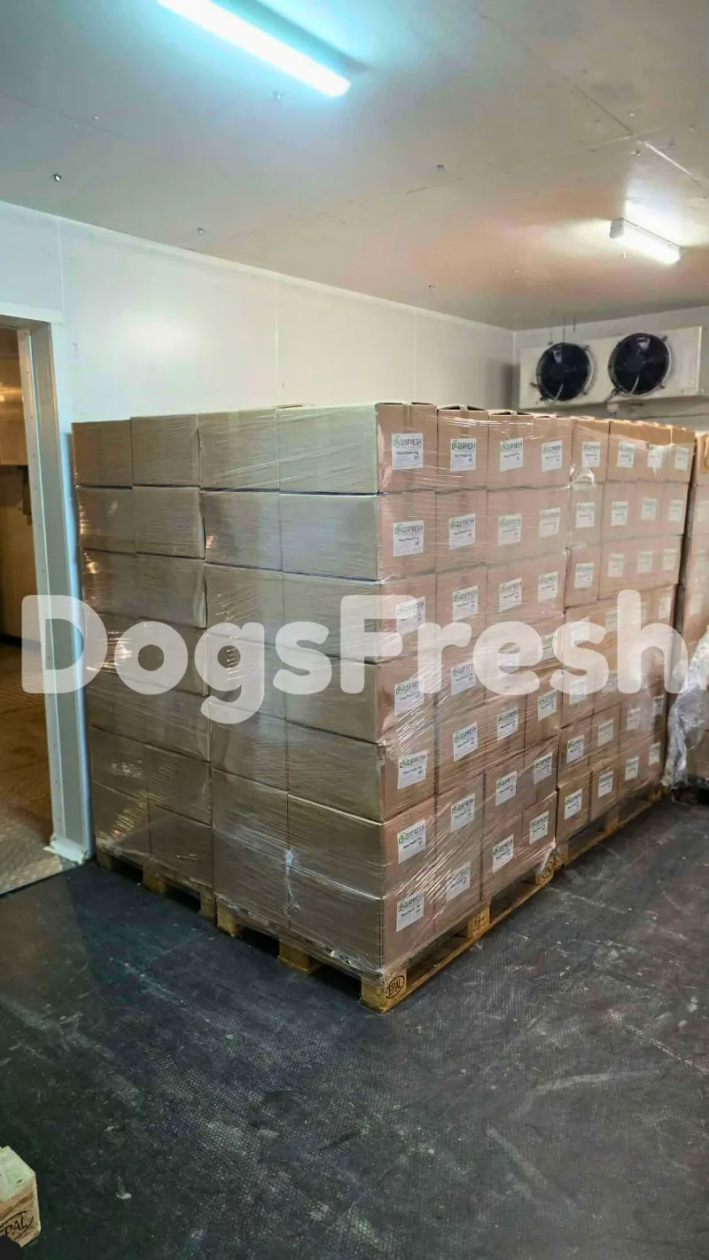 Les chambres froides de DogsFresh remplies de produits BARF