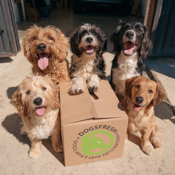 Commandes groupées DogsFresh Cinq chiens joyeux autour d’un colis DogsFresh livré à domicile